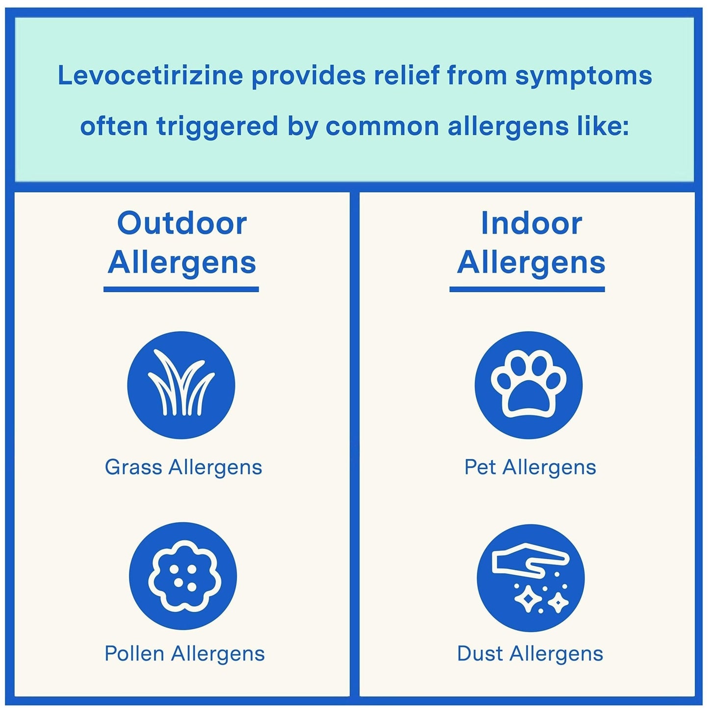 Curist - Generic Xyzal Levocetirizine 5 mg - (90 Tablets) - Allergy Pills, 24 Hour Allergy Relief - Allergy Medicine - Maple Wellness Supplements