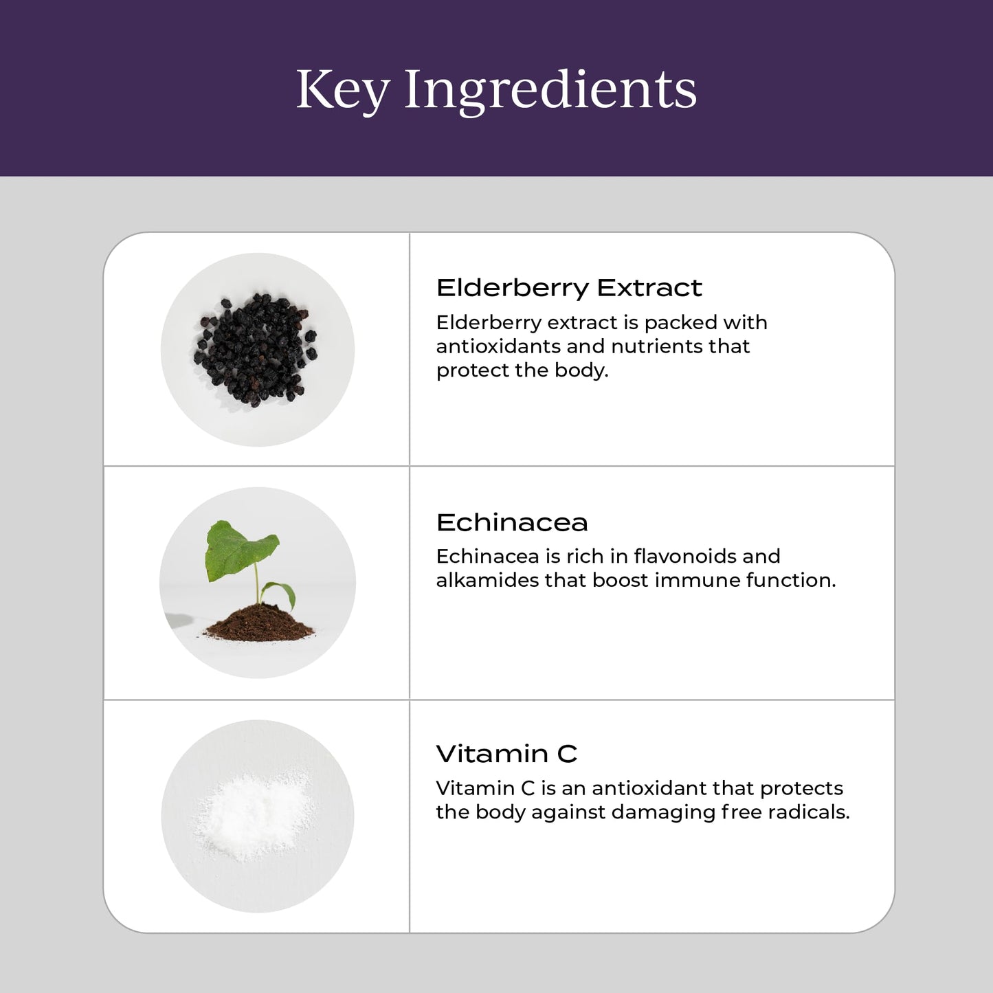 CYMBIOTIKA Adults Elderberry Boost Supplement – Organic Elderberry with Vitamin E for Immune Support – Gluten-Free, Vegan, Keto (Pack of 26) - Maple Wellness Supplements