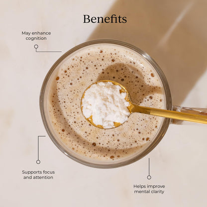 CYMBIOTIKA Nootropic Creamer – MCT Oil, Alpha GPC, L-Theanine – Keto, Vegan, Sugar-Free Coffee Creamer for Focus, Energy & Mental Clarity – Coconut Vanilla Flavor, 30 Servings - Maple Wellness Supplements