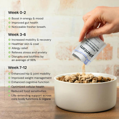 Daily Prebiotic + Postbiotic Dog Supplement Powder | 12-in-1 Support for Gut, Joints, Allergy, Immunity, Calming & Oral Health | Human-Grade Ingredients, No Artificial Flavors-No Fillers - 30 Sachets - Maple Wellness Supplements