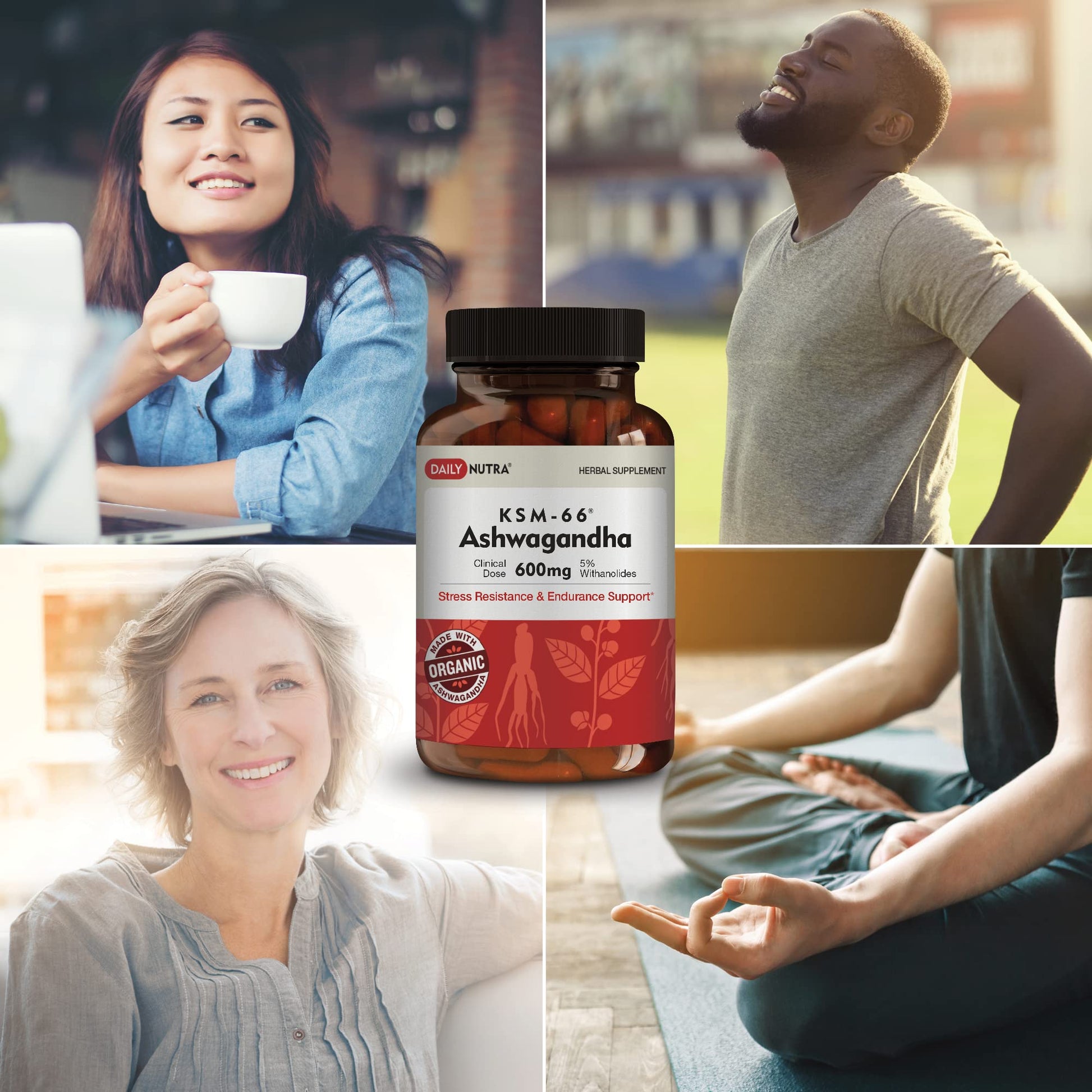 DailyNutra KSM-66 Ashwagandha 600mg Organic Root Extract - High Potency Supplement with 5% Withanolides | Relieves Tiredness, Supports Relaxation, Focus, Energy, & Muscle Growth (90 Capsules) - Maple Wellness Supplements