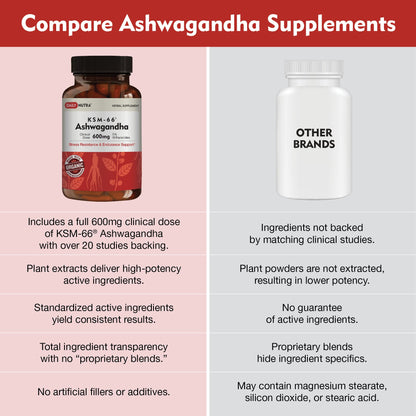 DailyNutra KSM-66 Ashwagandha 600mg Organic Root Extract - High Potency Supplement with 5% Withanolides | Relieves Tiredness, Supports Relaxation, Focus, Energy, & Muscle Growth (90 Capsules) - Maple Wellness Supplements