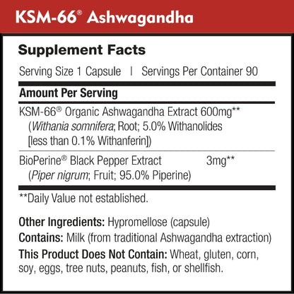 DailyNutra KSM-66 Ashwagandha 600mg Organic Root Extract - High Potency Supplement with 5% Withanolides | Relieves Tiredness, Supports Relaxation, Focus, Energy, & Muscle Growth (90 Capsules) - Maple Wellness Supplements