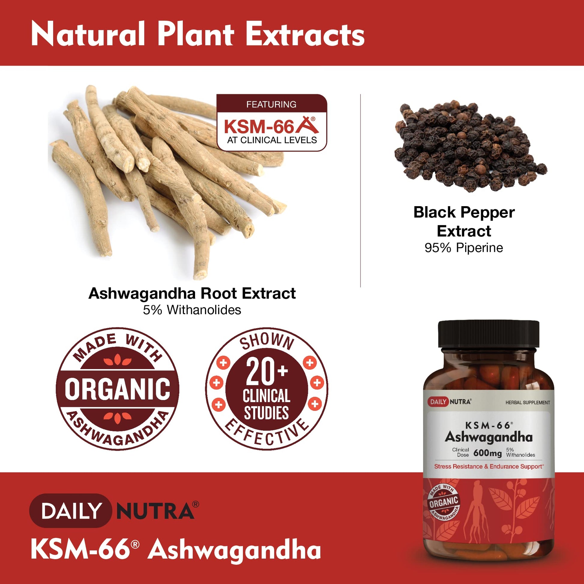 DailyNutra KSM-66 Ashwagandha 600mg Organic Root Extract - High Potency Supplement with 5% Withanolides | Relieves Tiredness, Supports Relaxation, Focus, Energy, & Muscle Growth (90 Capsules) - Maple Wellness Supplements