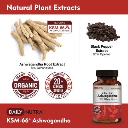 DailyNutra KSM-66 Ashwagandha 600mg Organic Root Extract - High Potency Supplement with 5% Withanolides | Relieves Tiredness, Supports Relaxation, Focus, Energy, & Muscle Growth (90 Capsules) - Maple Wellness Supplements