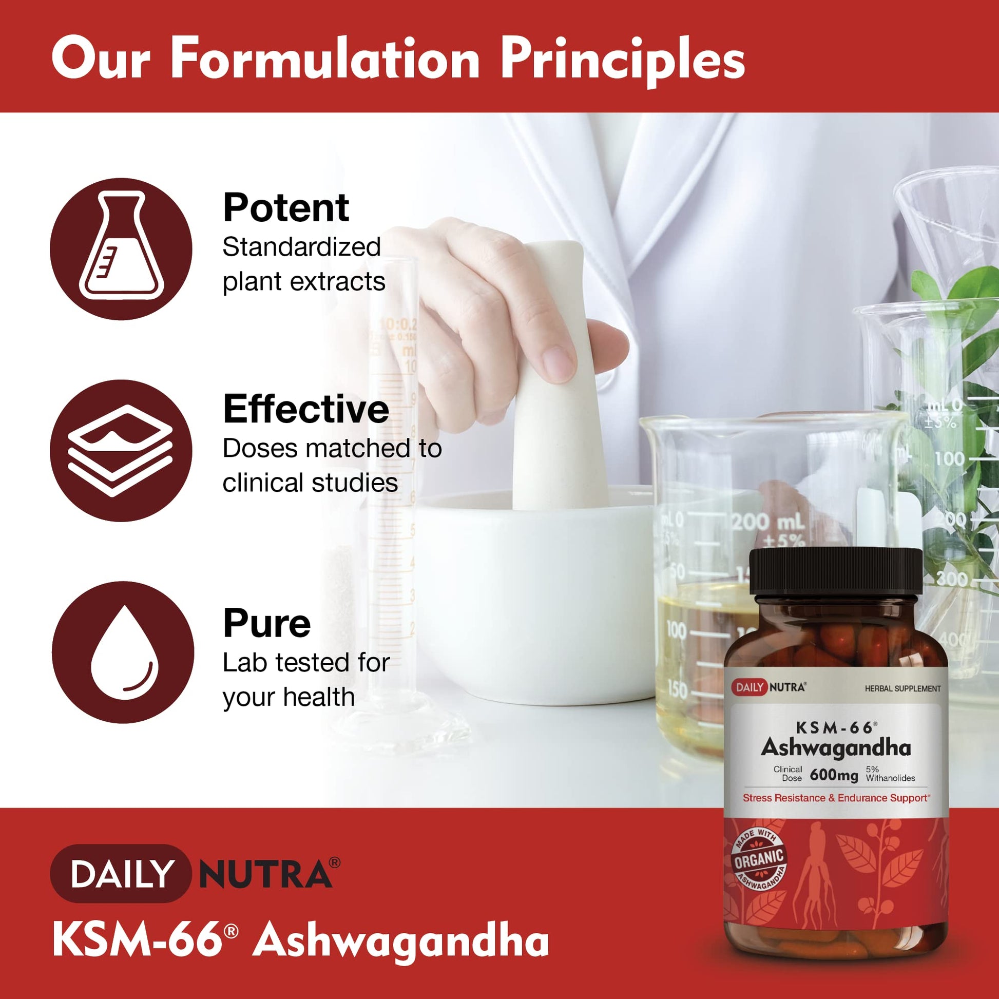 DailyNutra KSM-66 Ashwagandha 600mg Organic Root Extract - High Potency Supplement with 5% Withanolides | Relieves Tiredness, Supports Relaxation, Focus, Energy, & Muscle Growth (90 Capsules) - Maple Wellness Supplements