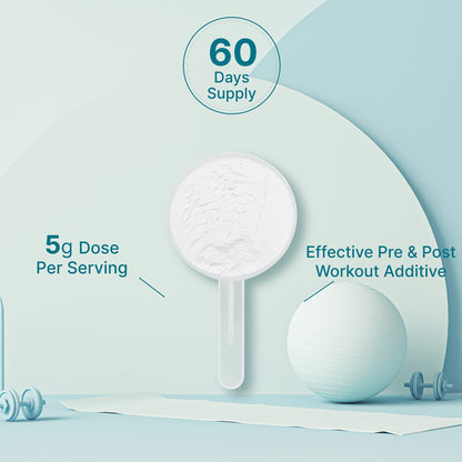 DEAL SUPPLEMENT Instant Creatine Monohydrate Powder, 5g Per Serving – 60 Servings | Micronized, Unflavored, Fast Absorbing Formula - Maple Wellness Supplements