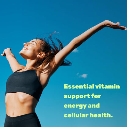 DEAL SUPPLEMENT Vitamin B1 500mg with Benfotiamine, 240 Capsules – 2 in 1 Enhanced Formula – Fat & Water Soluble Thiamine B1 Supplement - Maple Wellness Supplements