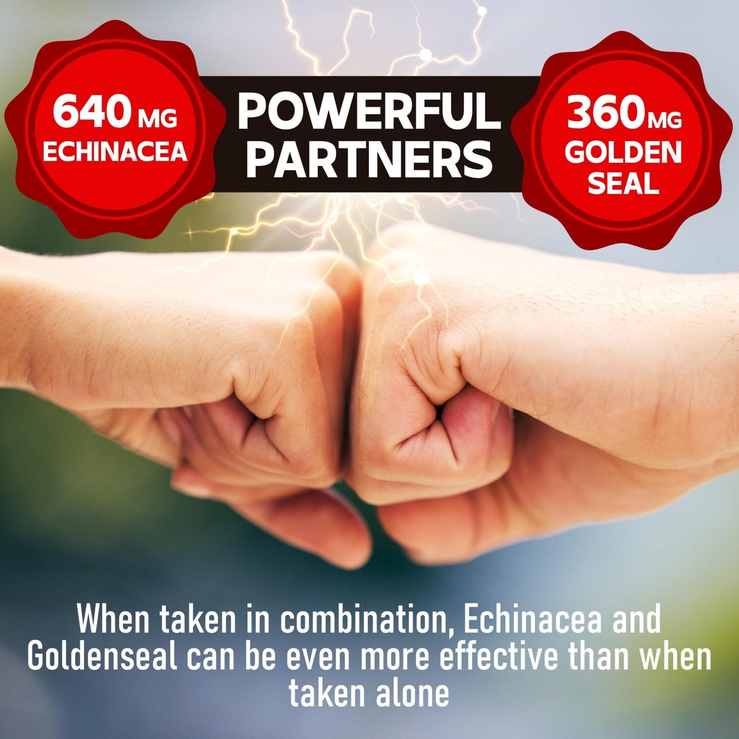 DEDICAD 1000mg Echinacea Goldenseal Capsules - Support Immune System, Well-Being & Overal Health - 60 Veggie Capsules - Non-GMO, Gluten-Free - Maple Wellness Supplements