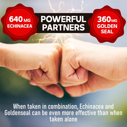 DEDICAD 1000mg Echinacea Goldenseal Capsules - Support Immune System, Well-Being & Overal Health - 60 Veggie Capsules - Non-GMO, Gluten-Free - Maple Wellness Supplements