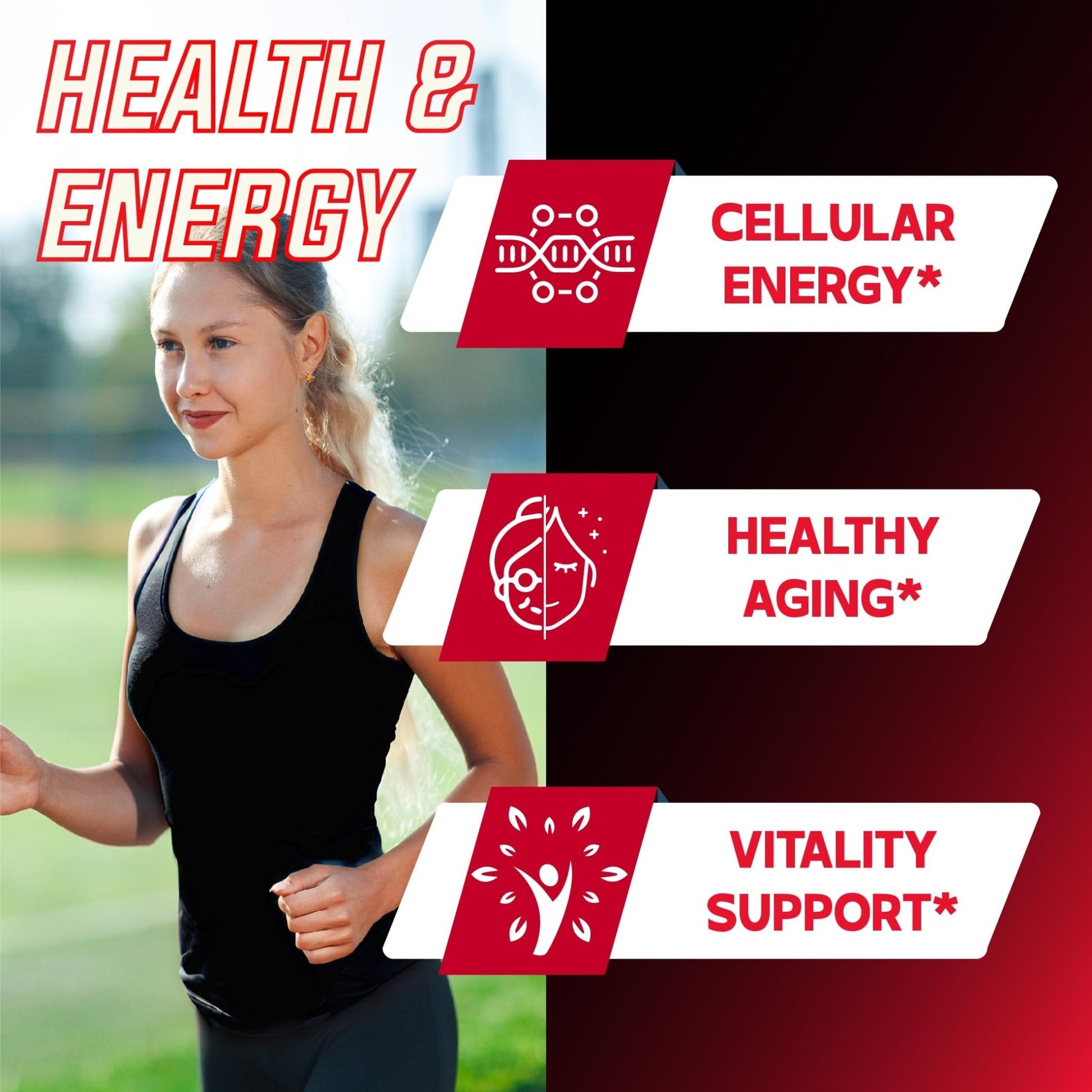 DEDICAD 11in1 NAD Supplement with Nicotinamide Riboside, Quercetin, Resveratrol and 8 More - 2 Month Supply - Maple Wellness Supplements