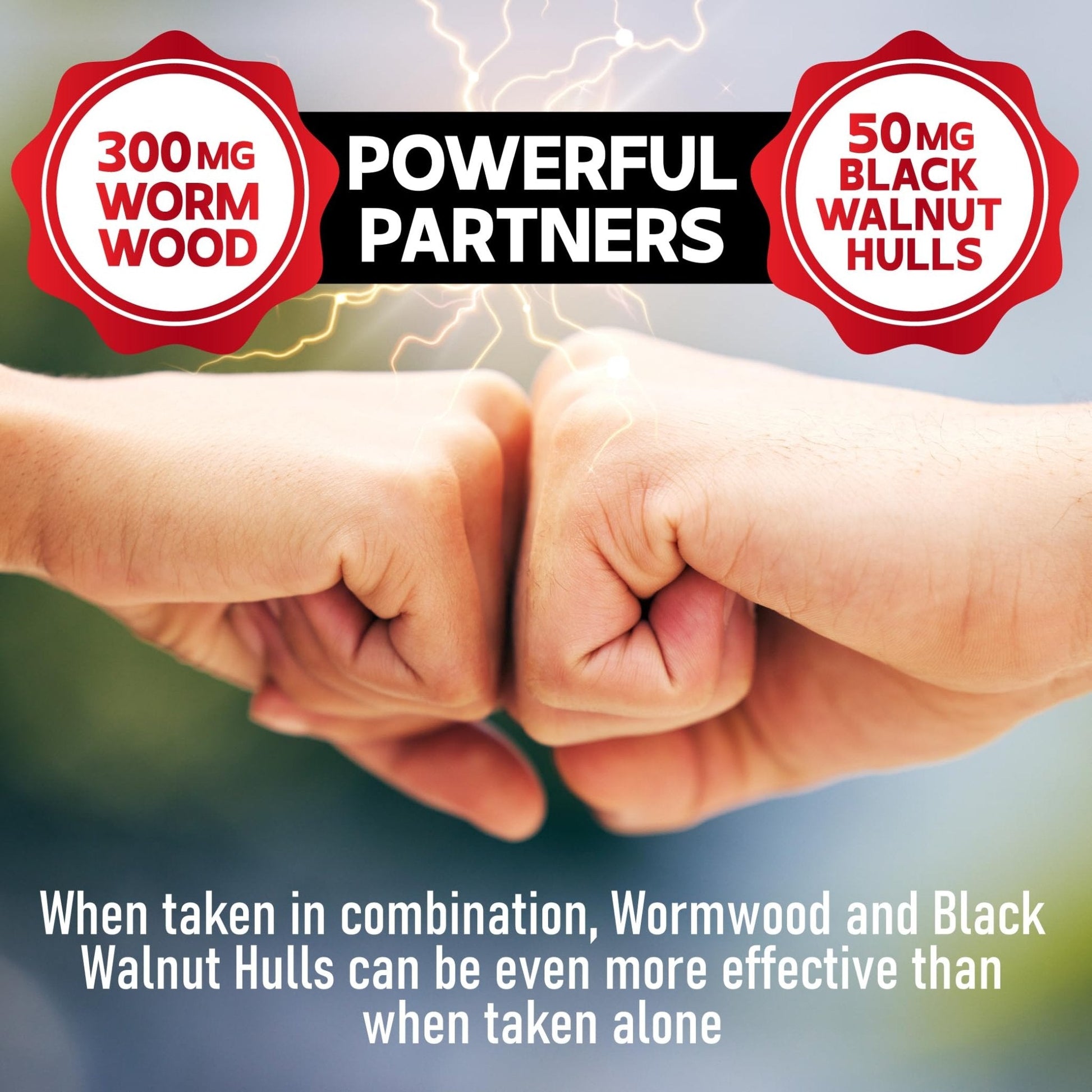 DEDICAD 12in1 Wormwood Capsules Black Walnut Cloves, Ginger, Turmeric Curcumin & Black Pepper - Immune System - 60 Capsules - Maple Wellness Supplements