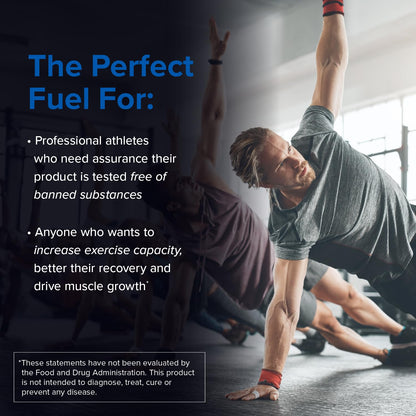 Designs for Sport Creatine Monohydrate Powder - NSF Certified for Sport Creatine - Maple Wellness Supplements