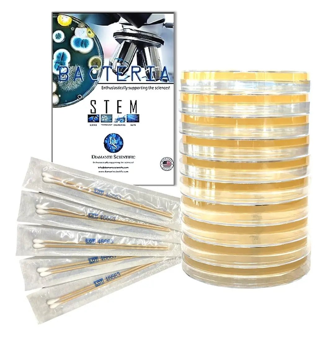 Diamante Scientific Essential Bacteria Kit. Pre-Poured Agar Plates & Swabs. Perfect for Kids. Great for Learning About Microbiology. STEM Education. Experiment Guide eBook Included! - Maple Wellness Supplements