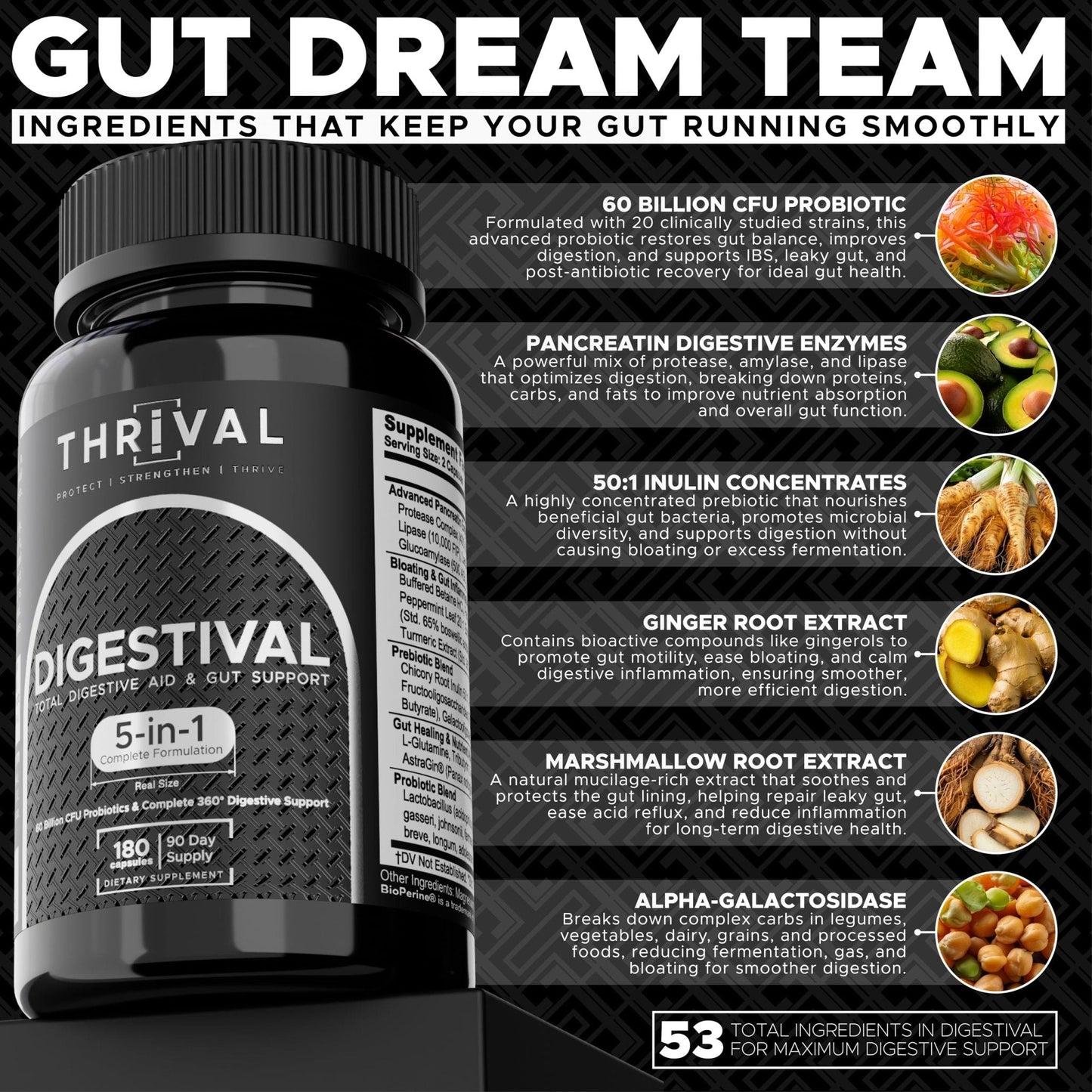 DIGESTIVAL 5-in-1 Gut Health Formula: Probiotics, Prebiotics, Enzymes, Gut Healing & Bloat Relief with 53 Ingredients, 60 Billion CFU, and Advanced Support for IBS, - Maple Wellness Supplements