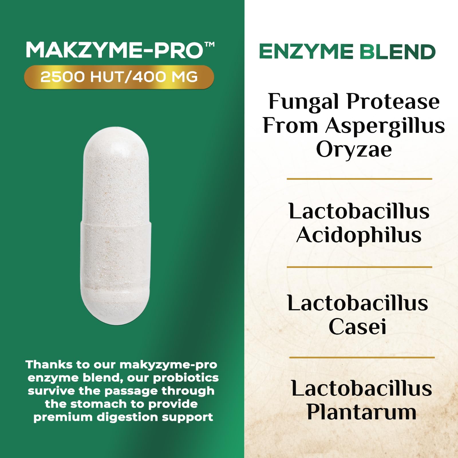Digestive Enzymes - Super Digestive Multi Enzyme Complex for Bloating & Gut Health Support with Bromelain, Papain, Probiotics & Prebiotics - Digestion Health - Maple Wellness Supplements