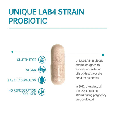Digestive Probiotics 20X Lab4 Strains for Gut & Immune Health, Pro Formula for Men & Women, Probiotic Capsules Support Diarrhea, Bloating and Gas, Shelf Stable, Vegan, Gluten Free, 60 Days Supply - Maple Wellness Supplements