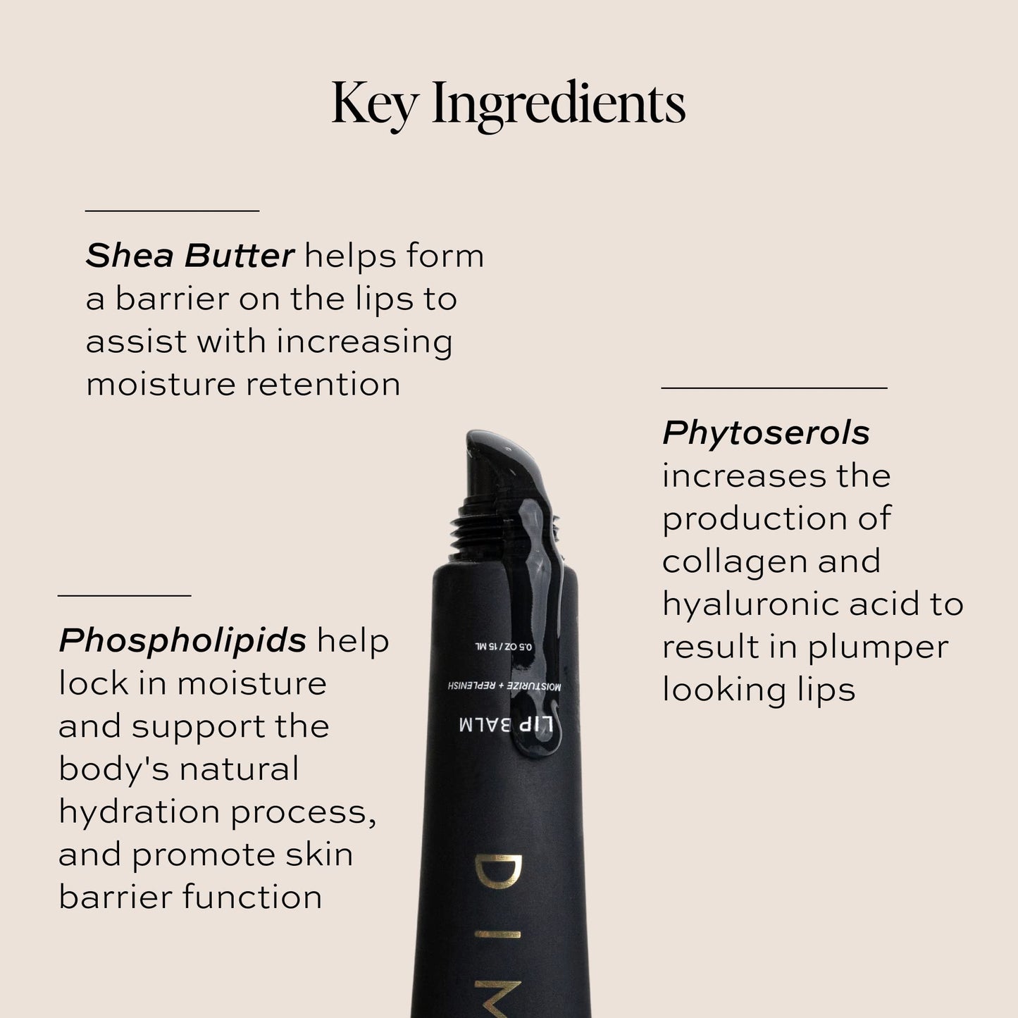 DIME Beauty Lip Balm, Hydrating Lip Balm and Gloss, Vegan & Cruelty-Free, Anti-Aging Lip Care, .5 oz / 15 ml - Maple Wellness Supplements