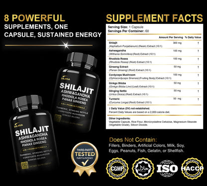DLNIA 8-in-1 Shilajit for Men & Women with Ashwaganda Himalayan Organic Supplement with Rhodiola Rosea, Ginseng, Turmeric, Mushroom, for Immune Support, Energy, Calm, Focus, Clarity, Sleep, Cortisol - Maple Wellness Supplements