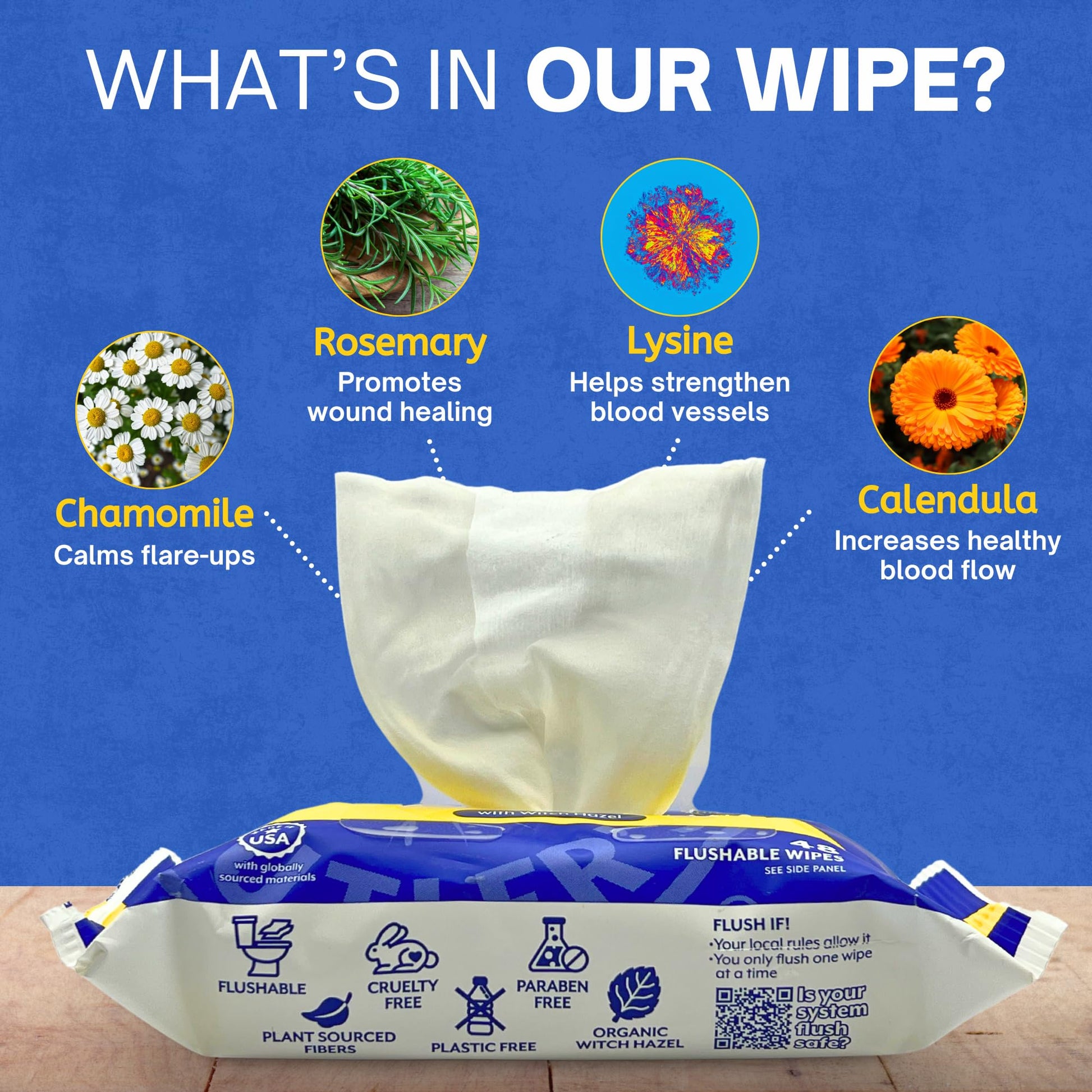 Doctor Butler's Flushable Hemorrhoid Wipes – Flushable Wipes with Witch Hazel to Soothe and Bring Relief from Discomfort Associated with Hemorrhoids (48 Wipes) - Maple Wellness Supplements