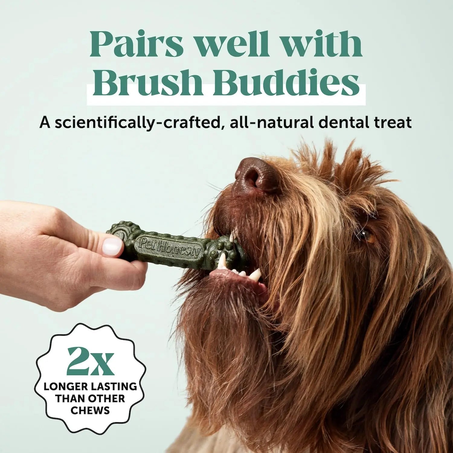 Dog Breath Freshener Dental Powder for Teeth Cleaning Plaque Off, Dental Care for Dogs, Tartar Remover for Teeth with Natural Herbal Blend + Postbiotics (Mint - 30 Servings) - Maple Wellness Supplements