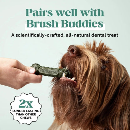 Dog Breath Freshener Dental Powder for Teeth Cleaning Plaque Off, Dental Care for Dogs, Tartar Remover for Teeth with Natural Herbal Blend + Postbiotics (Mint - 30 Servings) - Maple Wellness Supplements
