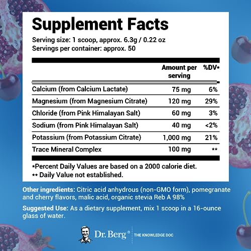 Dr. Berg Hydration Keto Electrolyte Powder - Enhanced w/ 1,000mg of Potassium - Maple Wellness Supplements