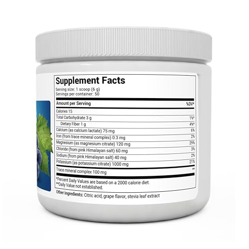 Dr. Berg Hydration Keto Electrolyte Powder - Enhanced w/ 1,000mg of Potassium & Real - Maple Wellness Supplements