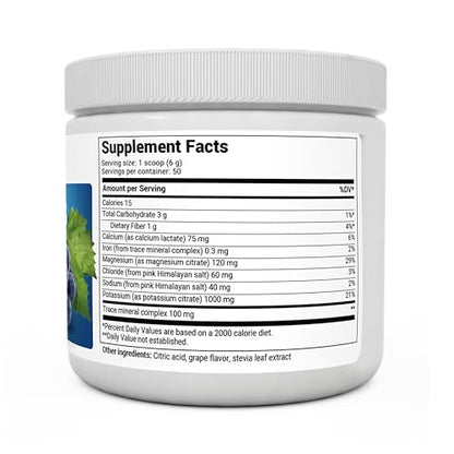 Dr. Berg Hydration Keto Electrolyte Powder - Enhanced w/ 1,000mg of Potassium & Real - Maple Wellness Supplements