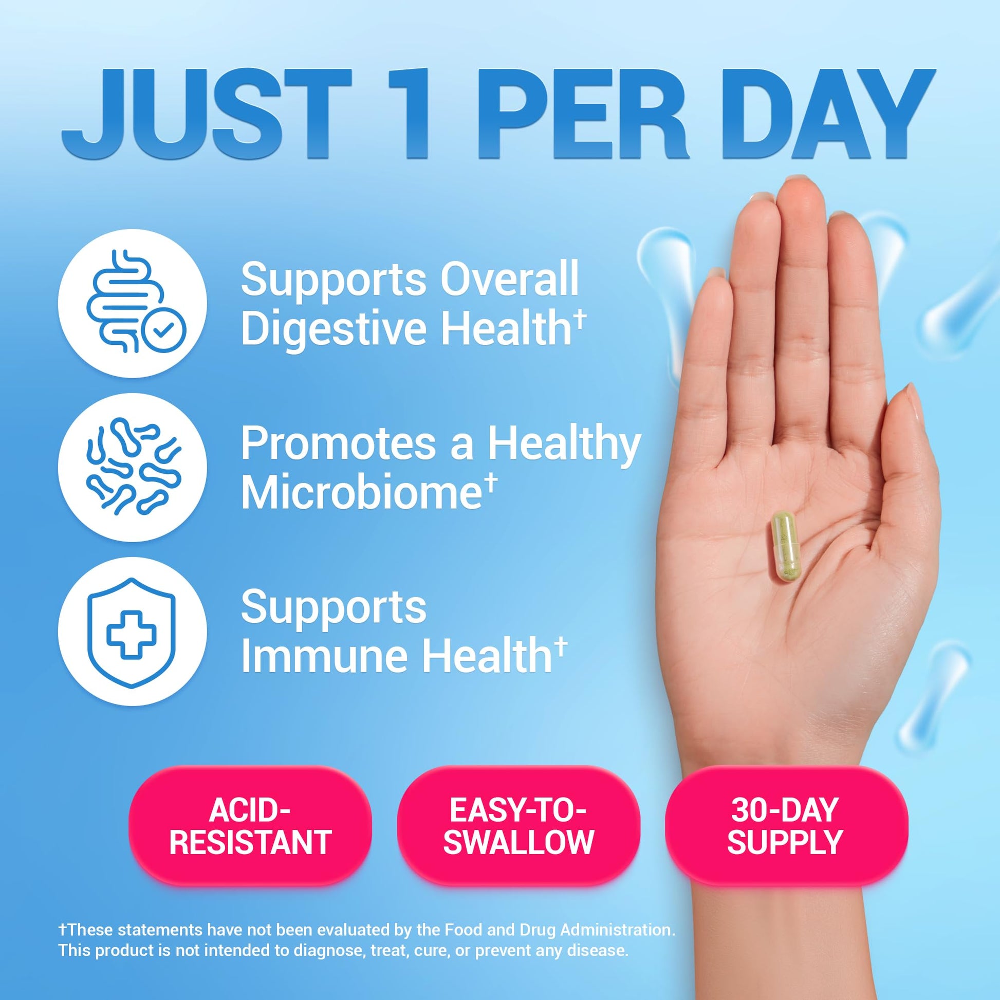Dr. Berg Probiotic Supplement (60 Billion CFUs) - Helps Ease Occasional Constipation, Diarrhea, Gas & Bloating* - Pre and Probiotics for Digestive Health - 30 Probiotic Capsules - Maple Wellness Supplements