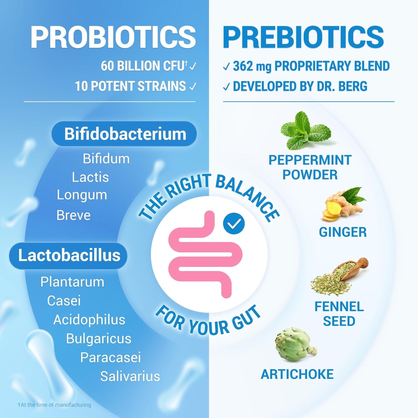 Dr. Berg Probiotic Supplement (60 Billion CFUs) - Helps Ease Occasional Constipation, Diarrhea, Gas & Bloating* - Pre and Probiotics for Digestive Health - 30 Probiotic Capsules - Maple Wellness Supplements
