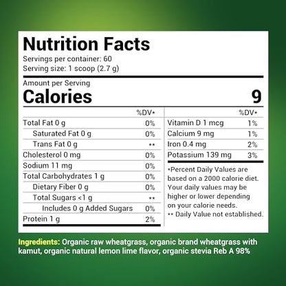 Dr. Berg USDA Certified Organic Green Powder Superfood (60 Servings) - Made with Raw - Maple Wellness Supplements