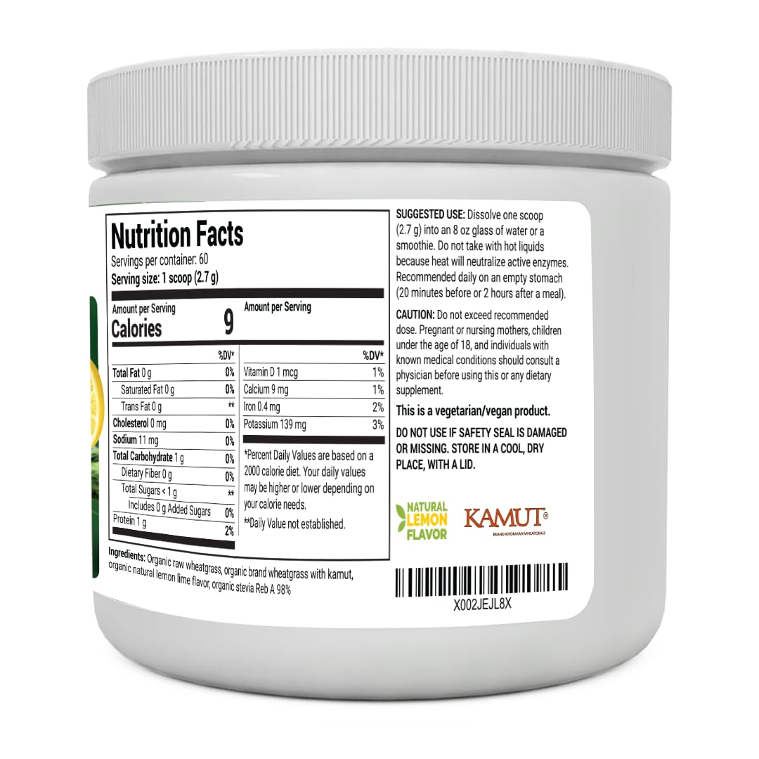 Dr. Berg's Raw Wheatgrass Juice Powder (60 Servings) - USDA Certified Organic - Maple Wellness Supplements