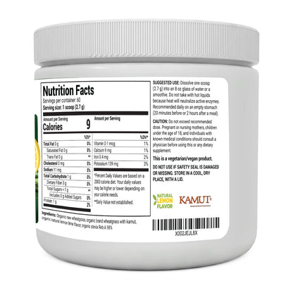 Dr. Berg's Raw Wheatgrass Juice Powder (60 Servings) - USDA Certified Organic - Maple Wellness Supplements