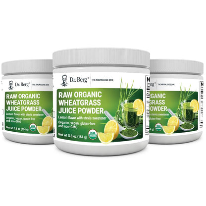 Dr. Berg's Raw Wheatgrass Juice Powder (60 Servings) - USDA Certified Organic - Maple Wellness Supplements