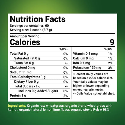 Dr. Berg's Raw Wheatgrass Juice Powder (60 Servings) - USDA Certified Organic - Maple Wellness Supplements