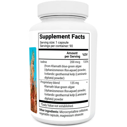 Dr. Berg's Sea Kelp Enhanced - Pure Healthy Thyroid Support Natural Antioxidants - Maple Wellness Supplements