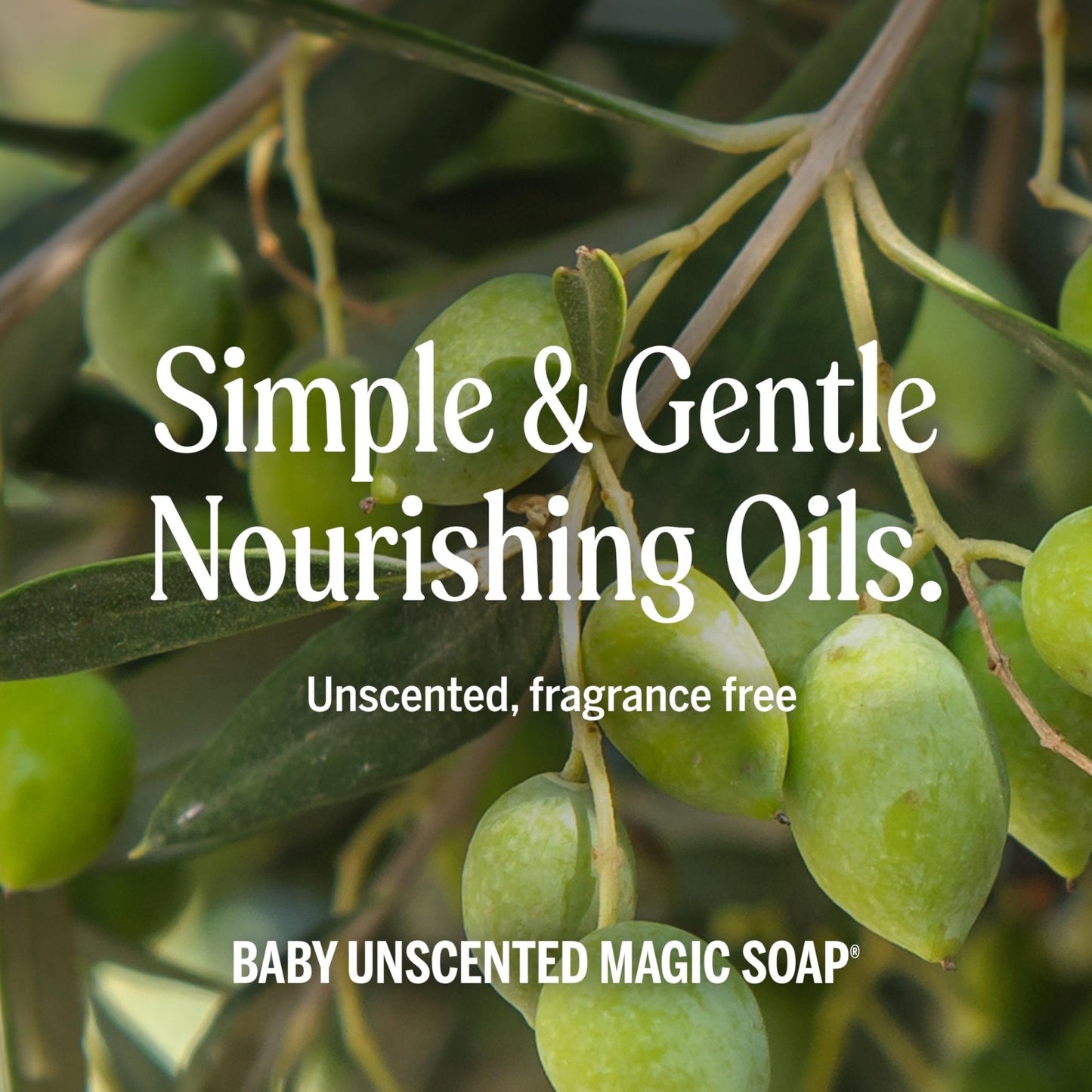 Dr. Bronner's Pure-Castile Magic Liquid Soap (Baby Unscented, 8 Ounce)- Made with Regenerative Organic Certified Oils, For Face - Maple Wellness Supplements
