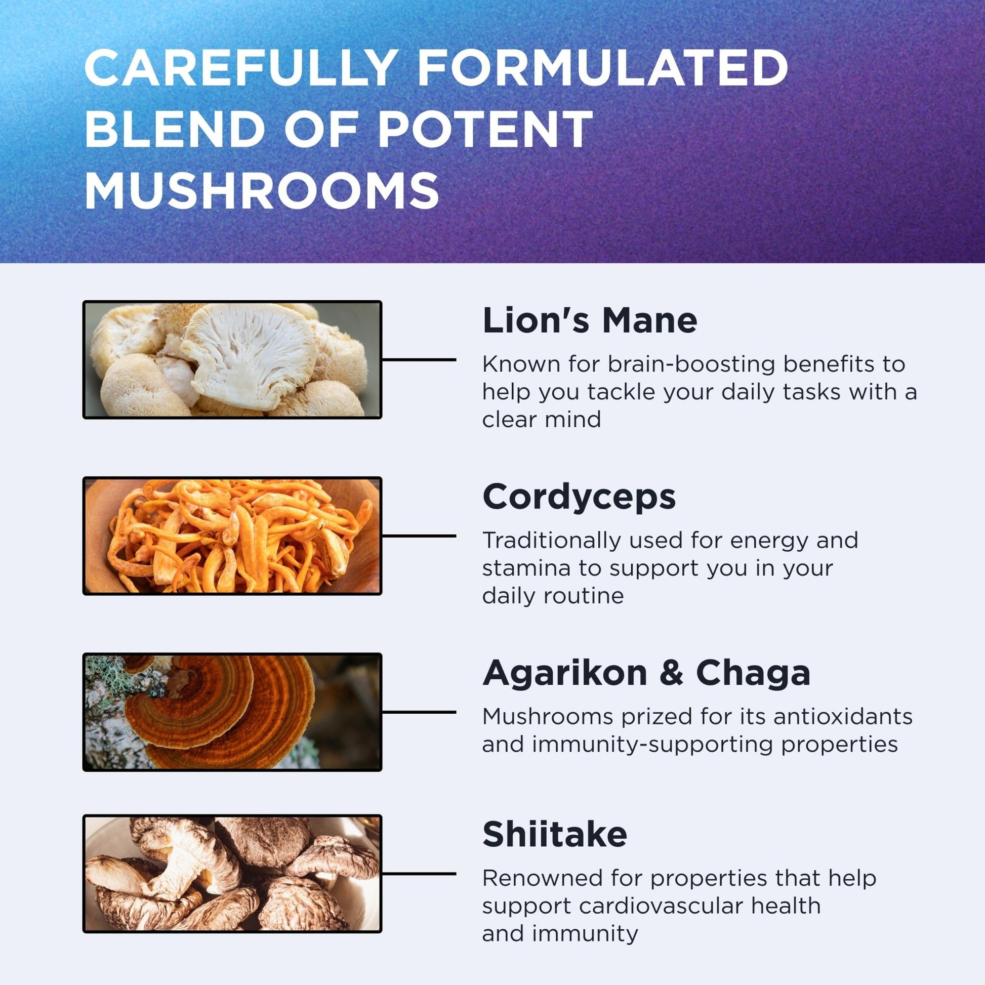 DR. EMIL NUTRITION 10 Mushroom Supplement for Mental Clarity, Focus & Immune Support - Functional Mushroom Nootropic Supplement with Lions Mane Extract, Cordyceps, Turkey Tail & More - Maple Wellness Supplements