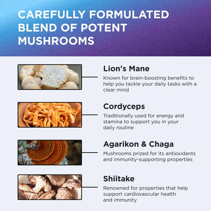DR. EMIL NUTRITION 10 Mushroom Supplement for Mental Clarity, Focus & Immune Support - Functional Mushroom Nootropic Supplement with Lions Mane Extract, Cordyceps, Turkey Tail & More - Maple Wellness Supplements