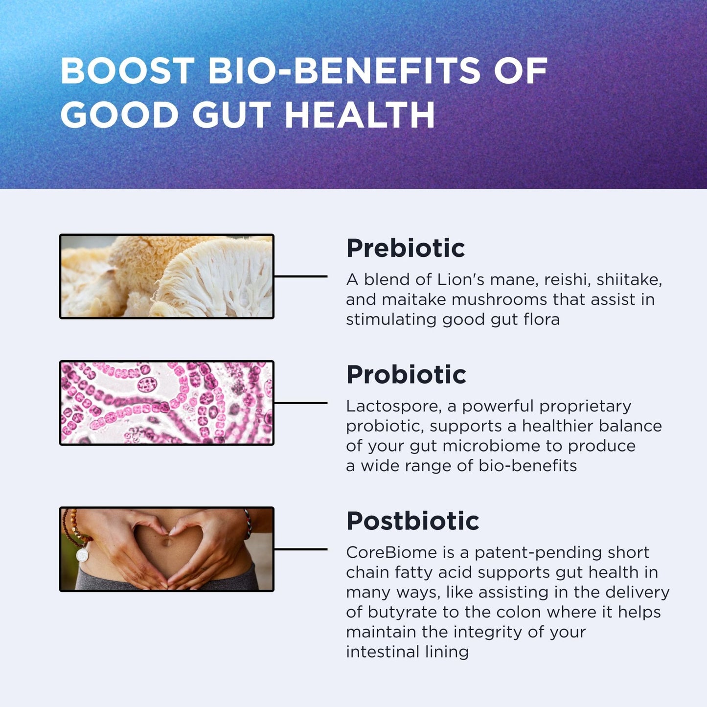 DR. EMIL NUTRITION Total Gut Health Complex - Prebiotic, Probiotic & Postbiotic Supplement - Supports Digestive Health, Bloating & Gut Balance - Maple Wellness Supplements