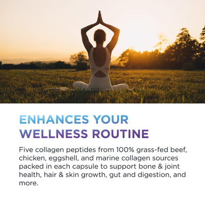 DR. EMIL NUTRITION Women's Multi Collagen Pills | Collagen Supplements | Support Hair, Skin, Nails & Joints | Hydrolyzed Collagen Supplements - Maple Wellness Supplements