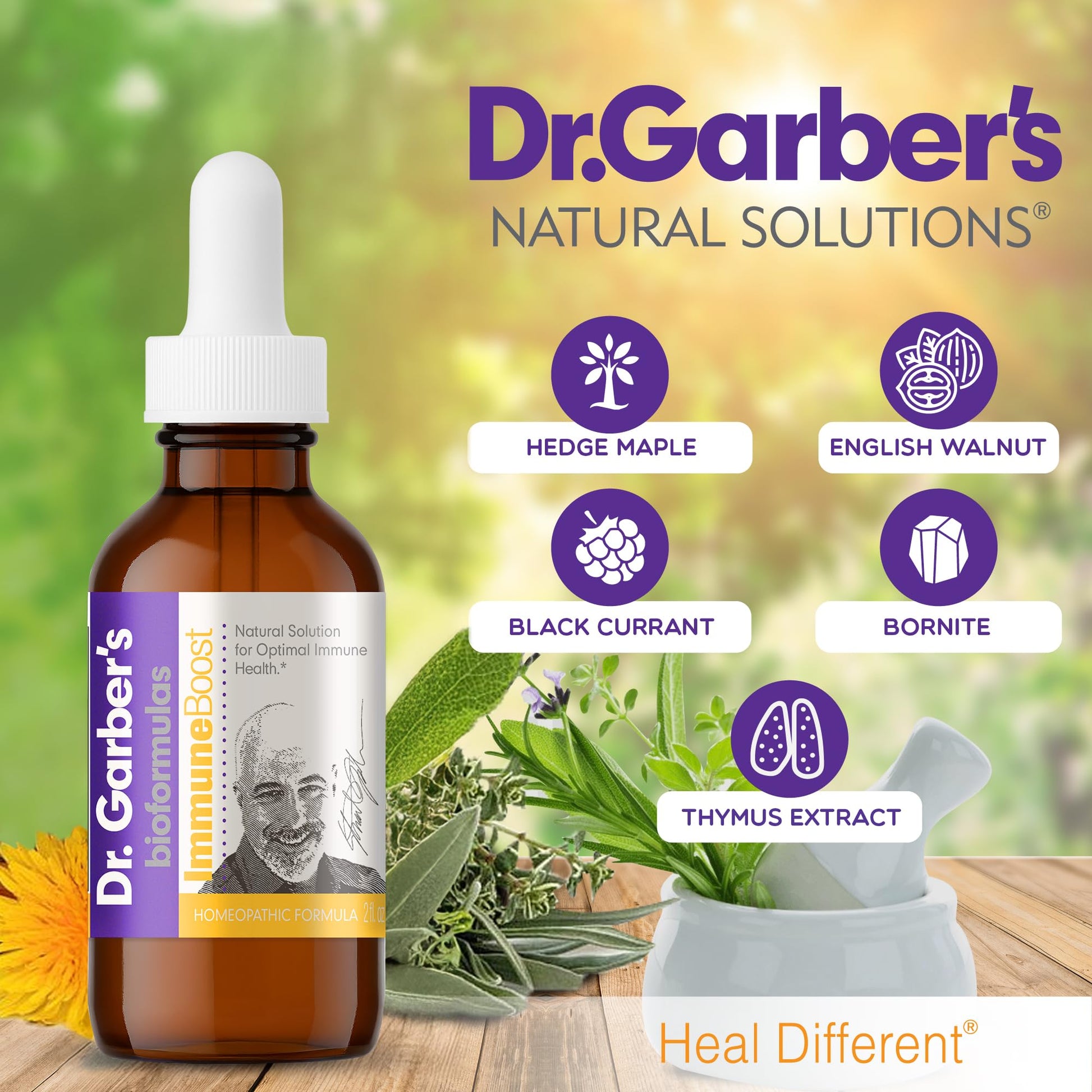 Dr. Garber's Natural Solutions Immune Boost Health Oral Drops - Gemmotherapy Liquid Supplement to Strengthen Immunity, Support Immune System, Increase Resistance, & Contains Antioxidants - 60ml - Maple Wellness Supplements