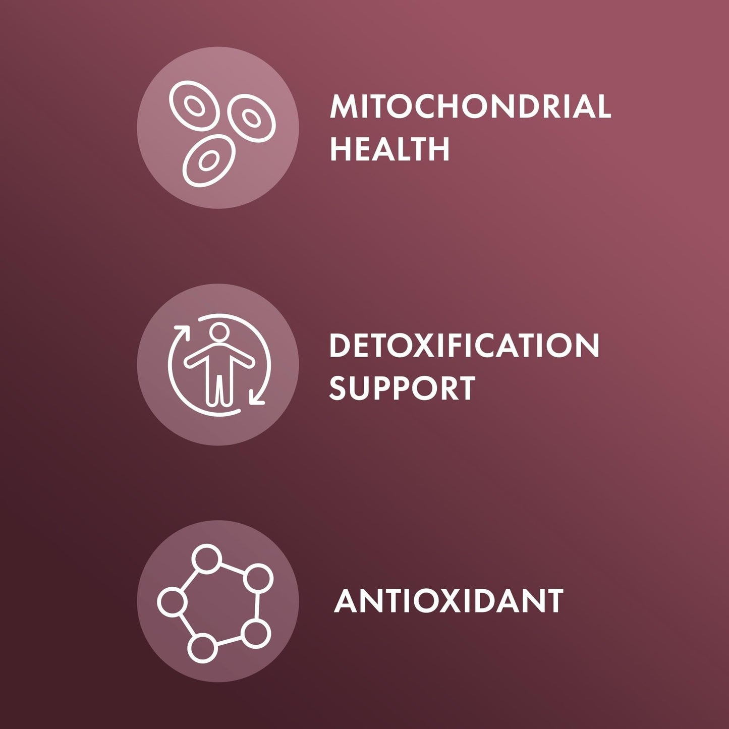 Dr. Mercola NAC with Milk Thistle - with Antioxidants - Supports Normal Detoxification Processes - 500 mg N-Acetyl-Cysteine per Serving - Non-GMO - Maple Wellness Supplements