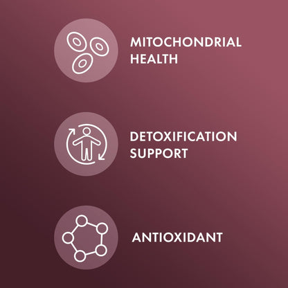 Dr. Mercola NAC with Milk Thistle - with Antioxidants - Supports Normal Detoxification Processes - 500 mg N-Acetyl-Cysteine per Serving - Non-GMO - Maple Wellness Supplements
