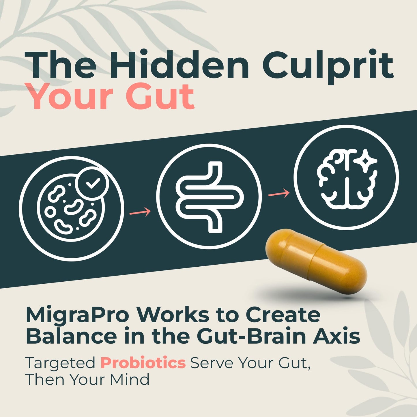 Dr. Munnerlyn MigraPro with Probiotics, Brain and Gut Health Support Supplement with Magnesium, Riboflavin, CoQ10, Ginger Root, Asian Ginseng, Vitamin C, Feverfew & Turmeric, Gluten Free, 90 Capsules - Maple Wellness Supplements