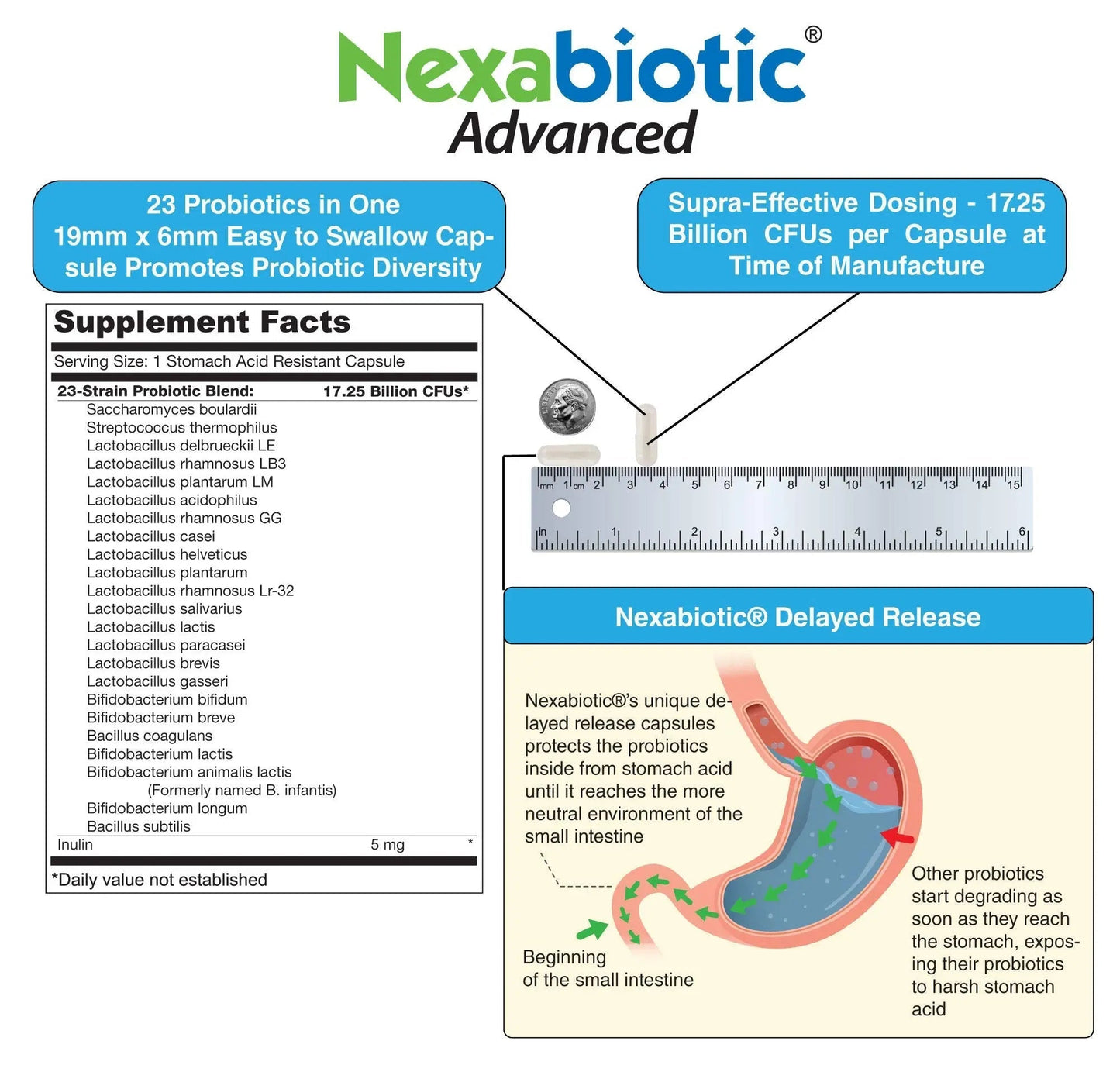 DrFormulas Nexabiotic 23 Multi Probiotic for Women and Men - Dr. formulated with Lactobacillus Acidophilus, Bifidobacterium Infantis, Saccharomyces Boulardii, 17.25 Billion CFUs - Maple Wellness Supplements