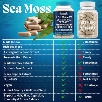 Droppels Irish Sea Moss Capsules with Turmeric Root, Ashwagandha, Black Pepper & Burdock Root – Natural Mineral Blend for Immune, Digestion, Joint & Energy Support – Vegan, Non-GMO – 60 Capsules - Maple Wellness Supplements
