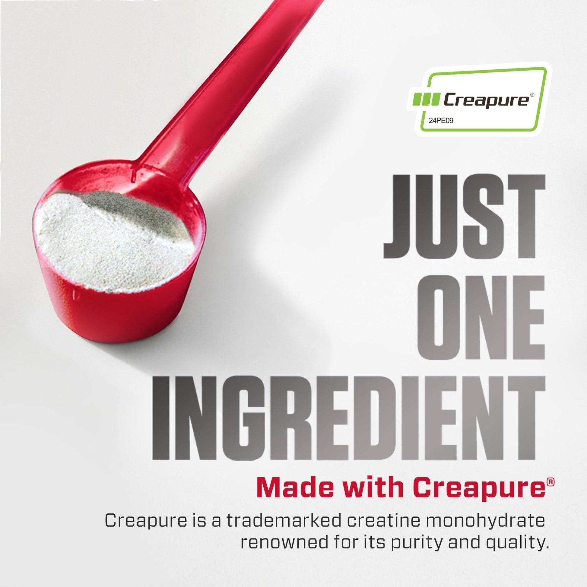 Dymatize 100% Creatine Monohydrate with CREAPURE, 5g Per Serving, 60 Servings (300g), Creatine for Women and Men, Gluten Free - Maple Wellness Supplements