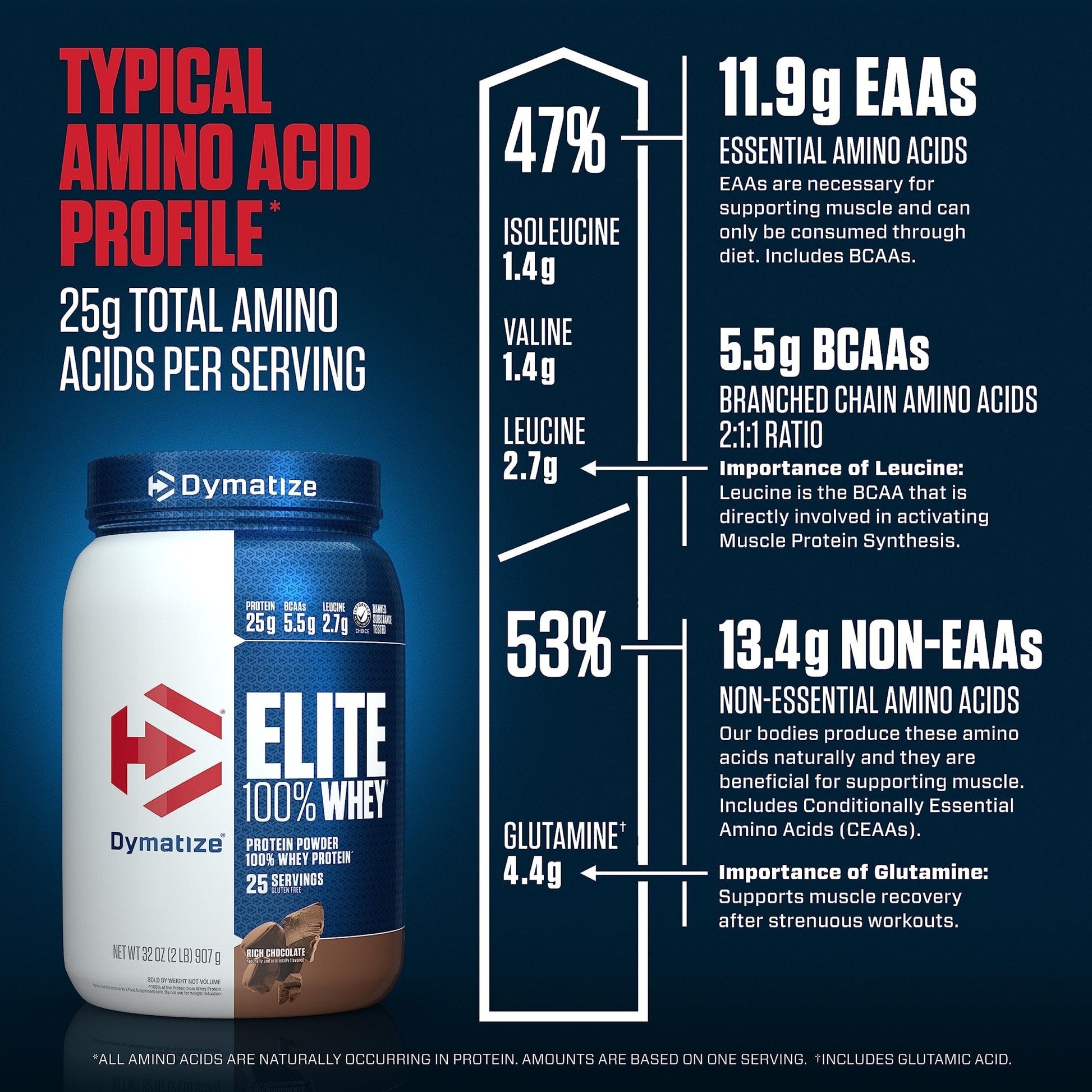 Dymatize Elite 100% Whey Protein Powder, 25g Protein, 5.5g BCAAs & 2.7g L-Leucine - Maple Wellness Supplements